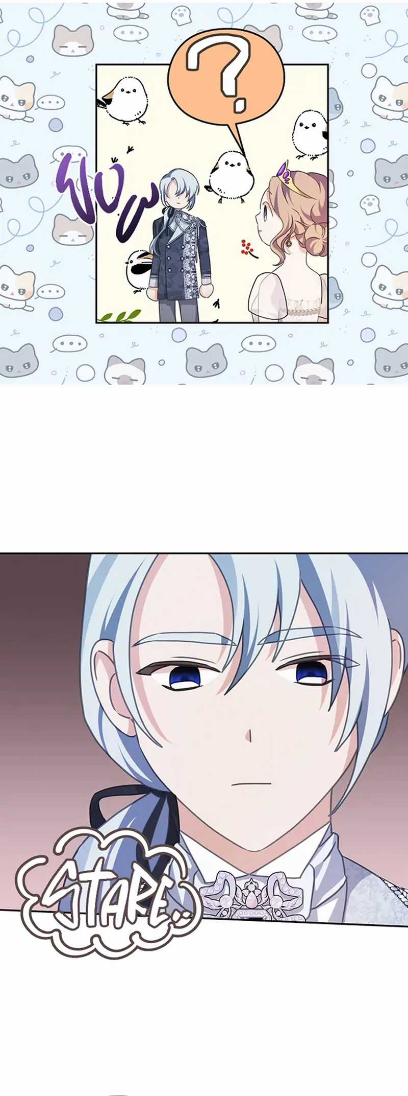 Cây Cúc Tây Thân Yêu Của Tôi Chapter 52 trang 4