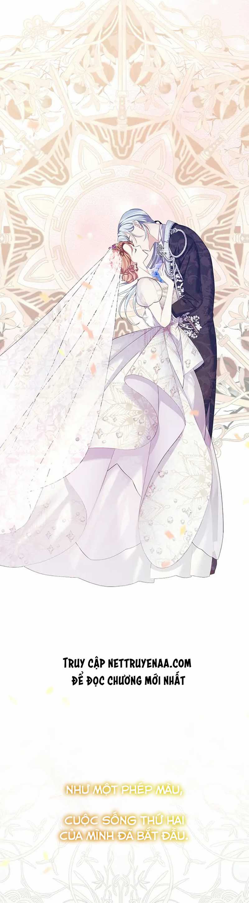 Cây Cúc Tây Thân Yêu Của Tôi Chapter 52 trang 43