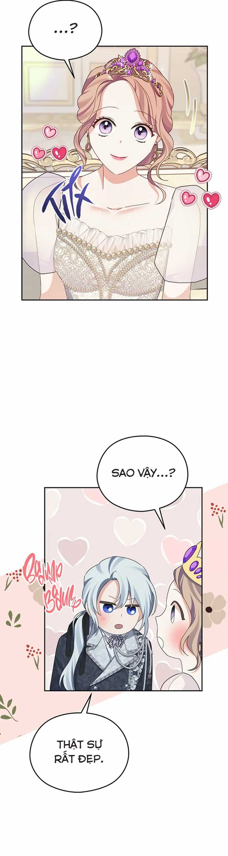 Cây Cúc Tây Thân Yêu Của Tôi Chapter 52 trang 5