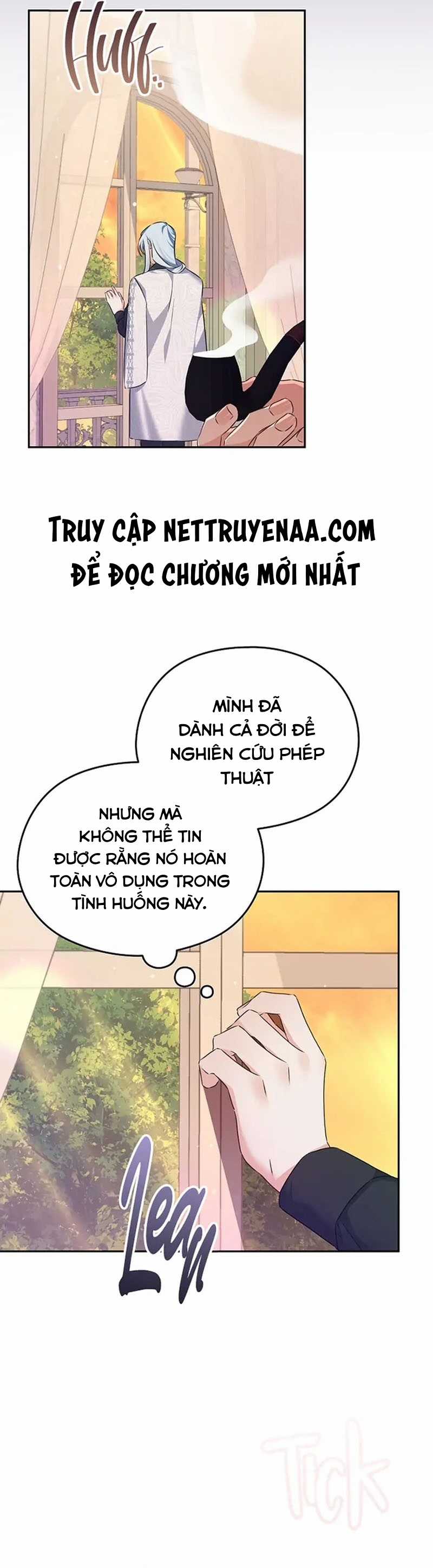 Cây Cúc Tây Thân Yêu Của Tôi Chapter 53 trang 22