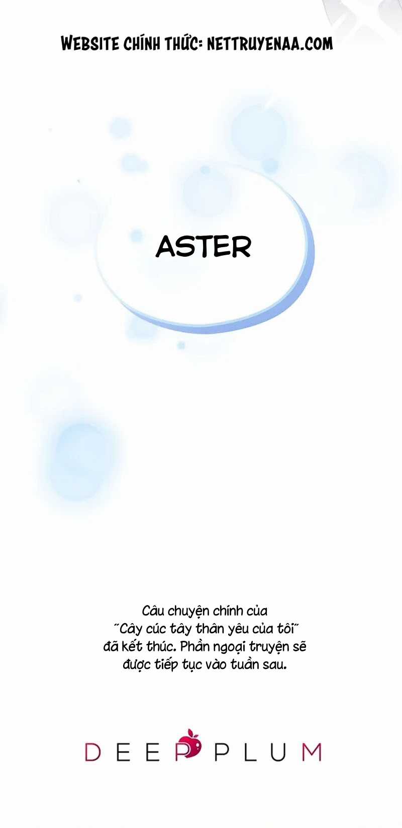 Cây Cúc Tây Thân Yêu Của Tôi Chapter 53 trang 41