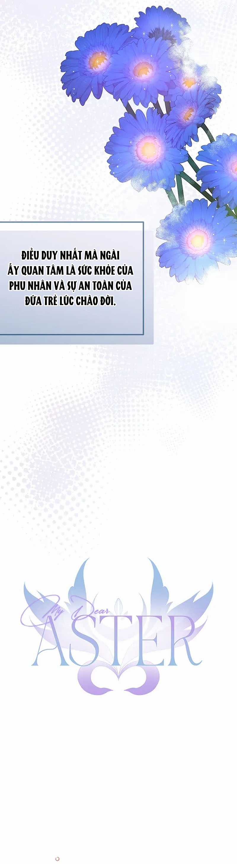 Cây Cúc Tây Thân Yêu Của Tôi Chapter 53 trang 7