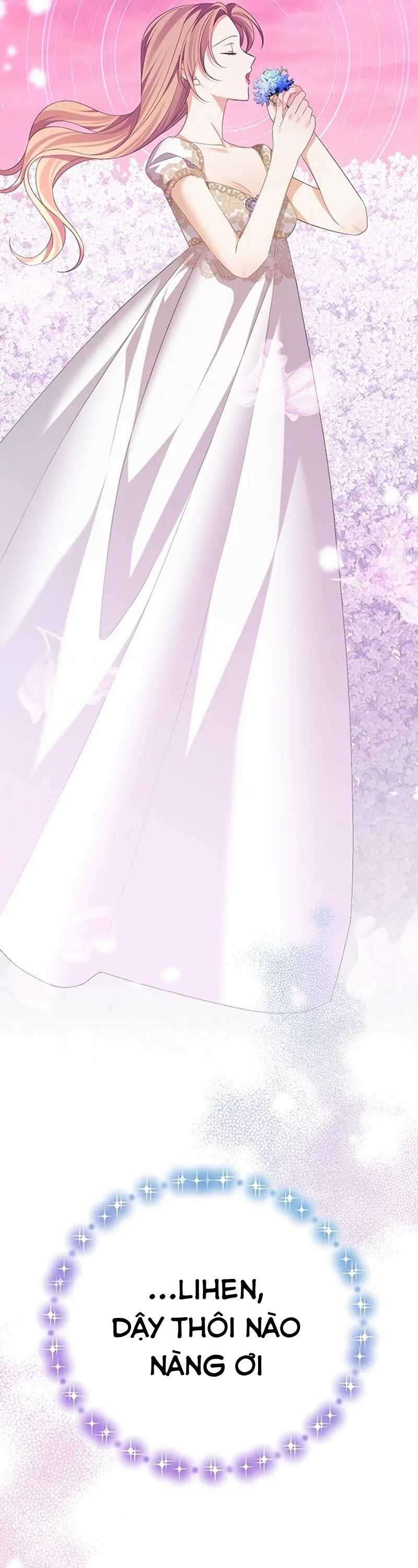 Cây Cúc Tây Thân Yêu Của Tôi Chapter 55 trang 5