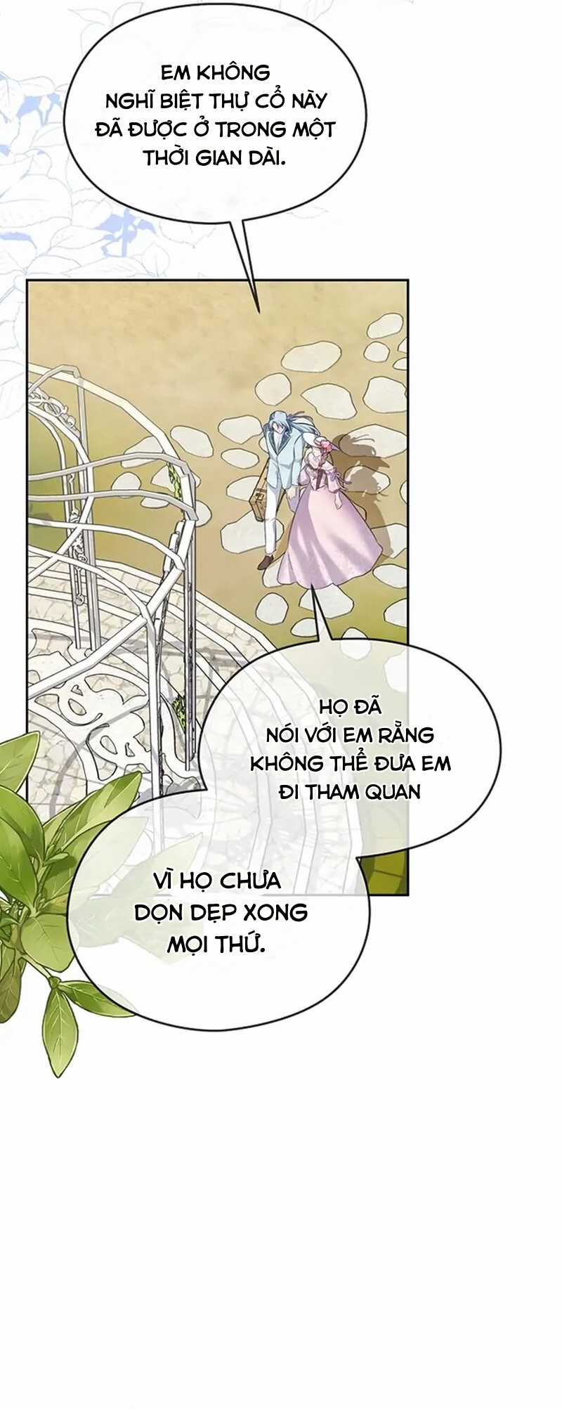 Cây Cúc Tây Thân Yêu Của Tôi Chapter 56 trang 21