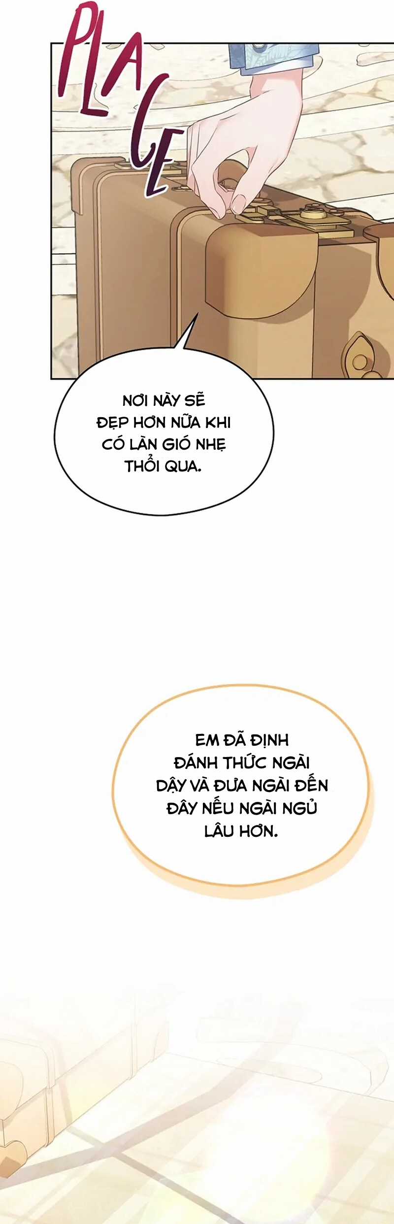 Cây Cúc Tây Thân Yêu Của Tôi Chapter 56 trang 22