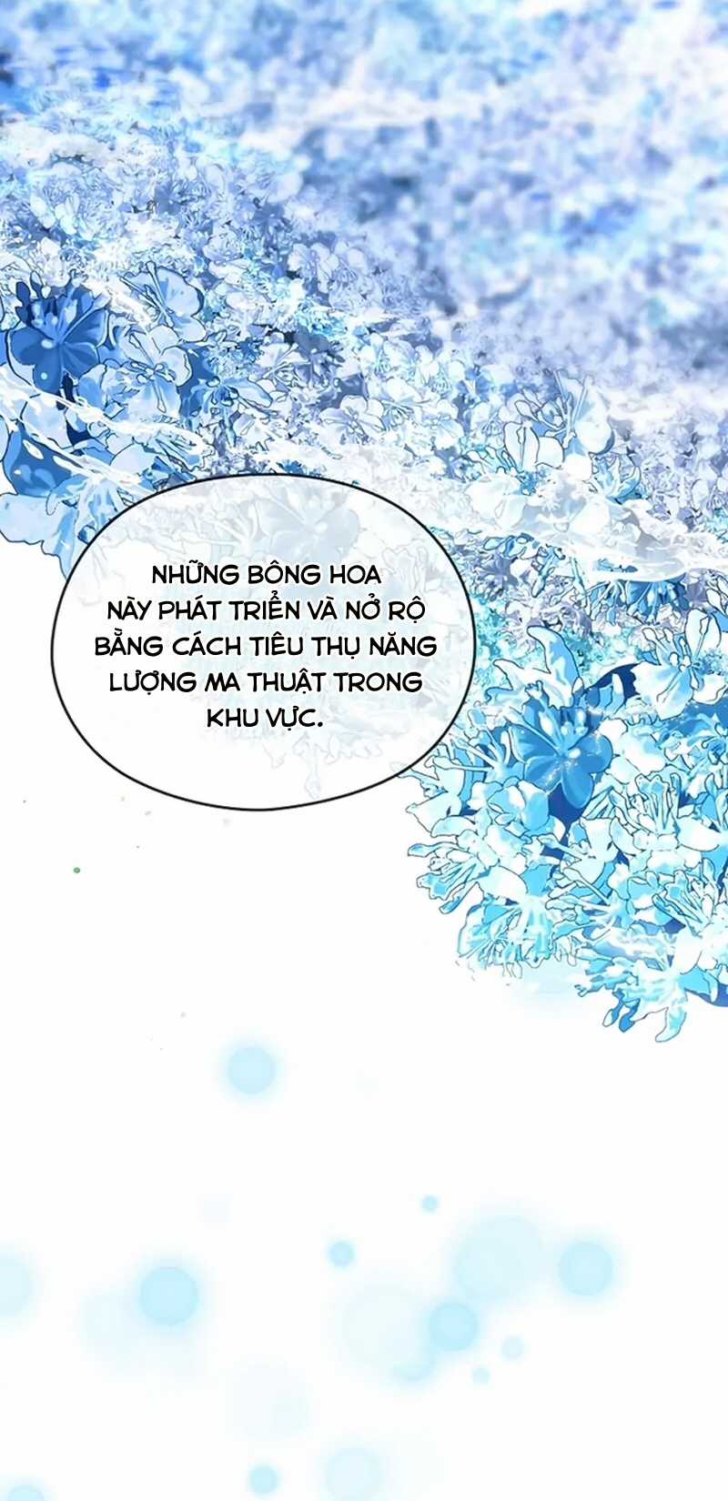 Cây Cúc Tây Thân Yêu Của Tôi Chapter 57 trang 39