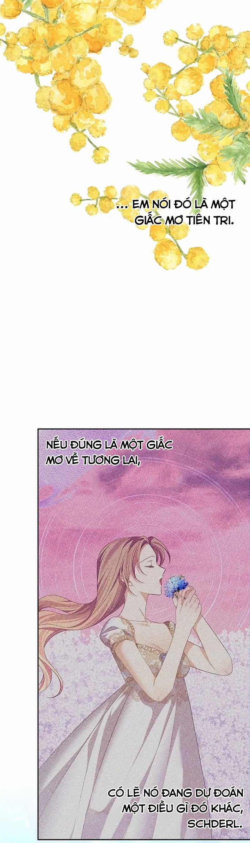 Cây Cúc Tây Thân Yêu Của Tôi Chapter 57 trang 50