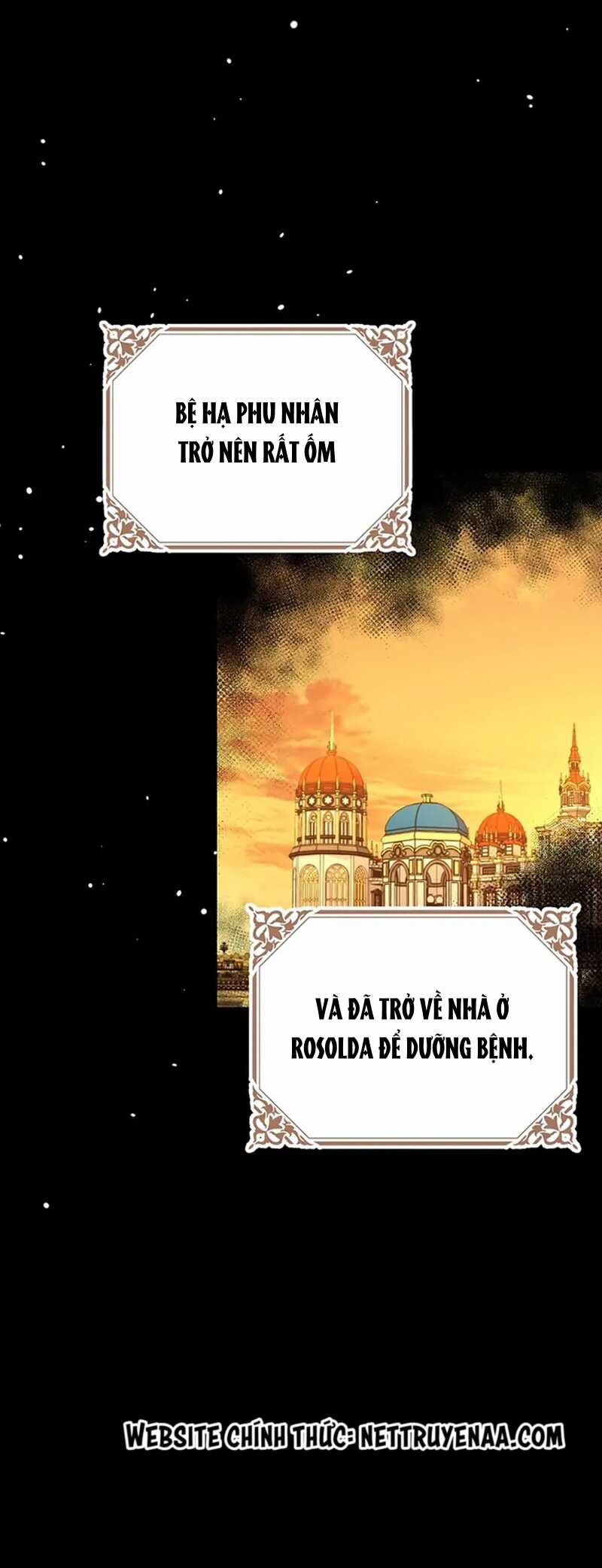 Cây Cúc Tây Thân Yêu Của Tôi Chapter 58 trang 19