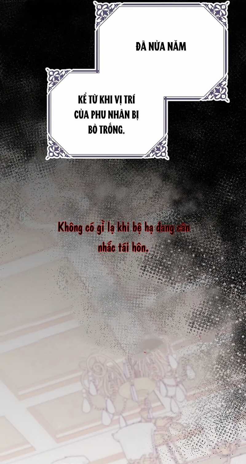 Cây Cúc Tây Thân Yêu Của Tôi Chapter 58 trang 24