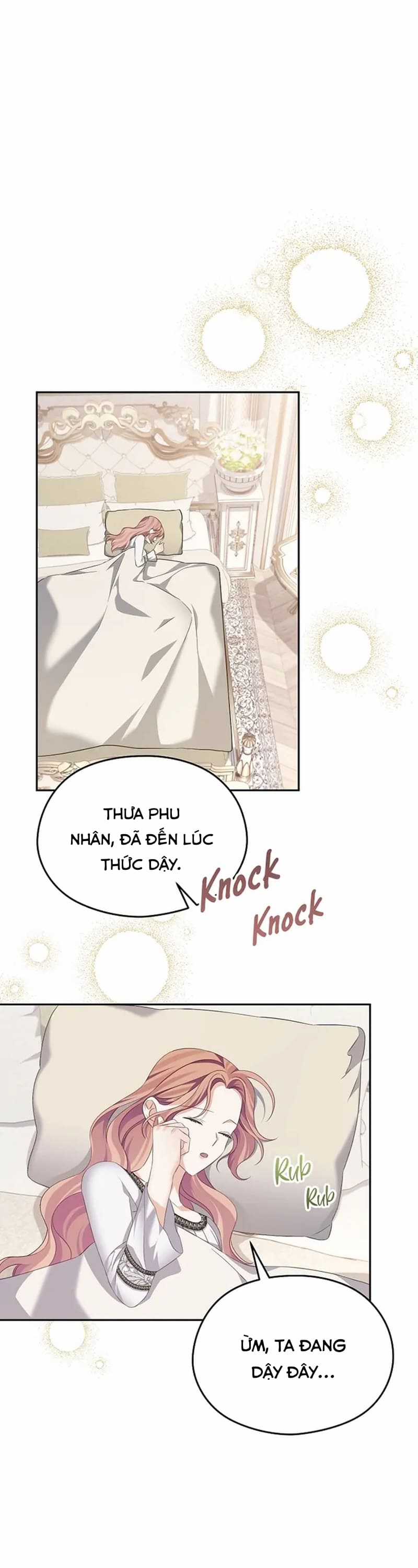 Cây Cúc Tây Thân Yêu Của Tôi Chapter 59 trang 21