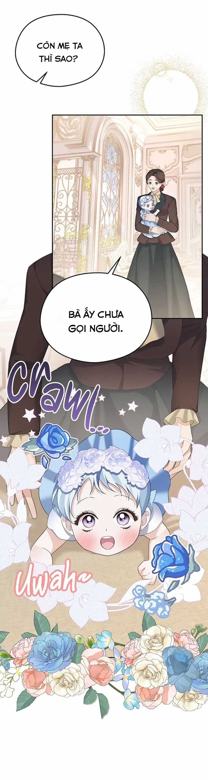 Cây Cúc Tây Thân Yêu Của Tôi Chapter 59 trang 22