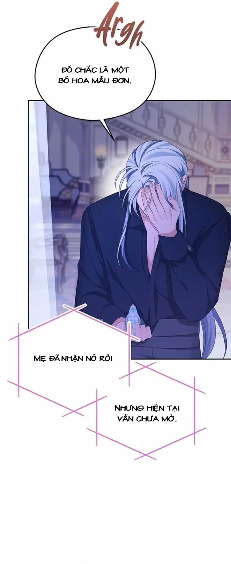 Cây Cúc Tây Thân Yêu Của Tôi Chapter 60 trang 38