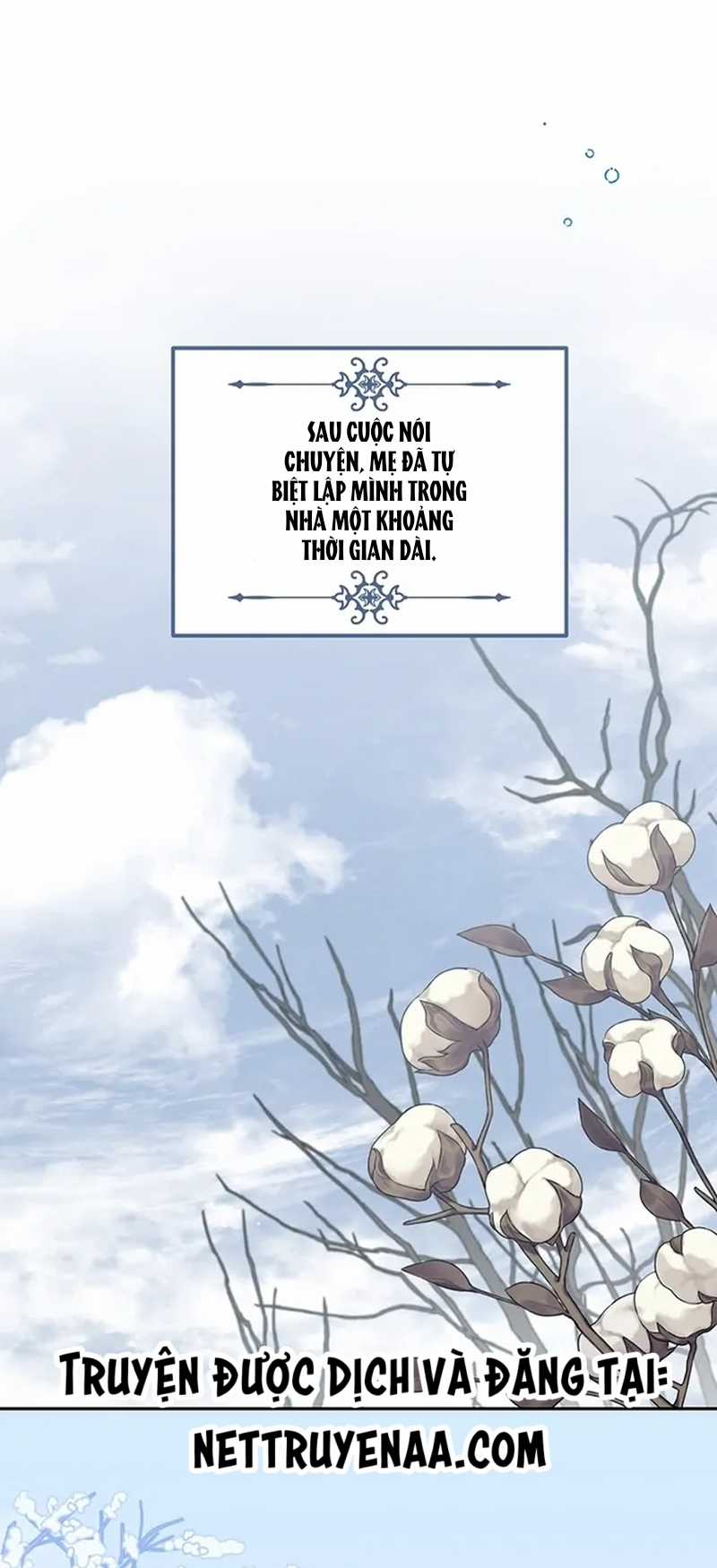 Cây Cúc Tây Thân Yêu Của Tôi Chapter 61 trang 17