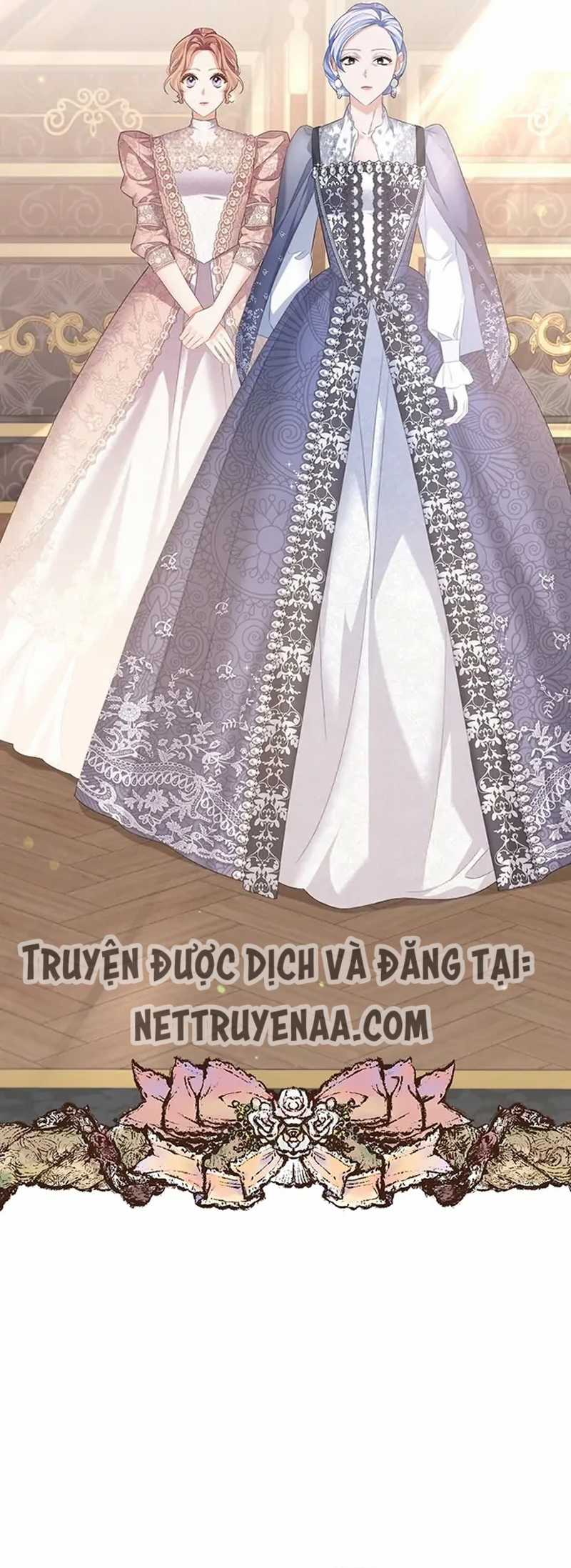 Cây Cúc Tây Thân Yêu Của Tôi Chapter 62 trang 17