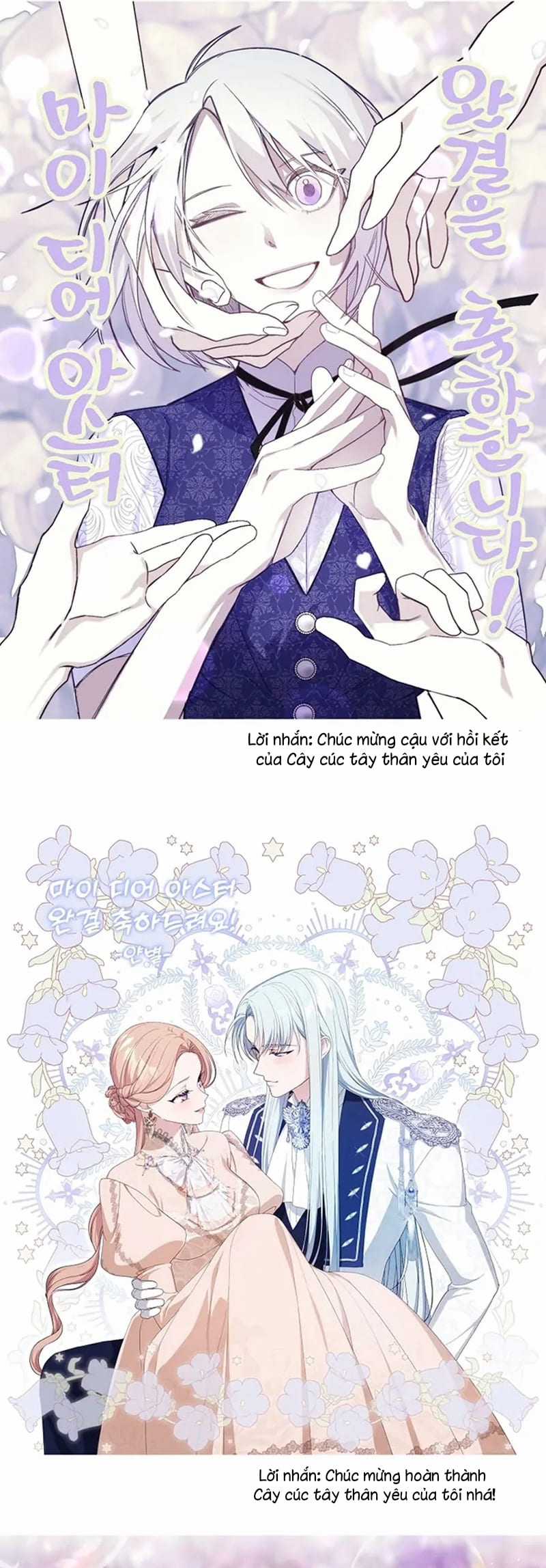 Cây Cúc Tây Thân Yêu Của Tôi Chapter 65 trang 52