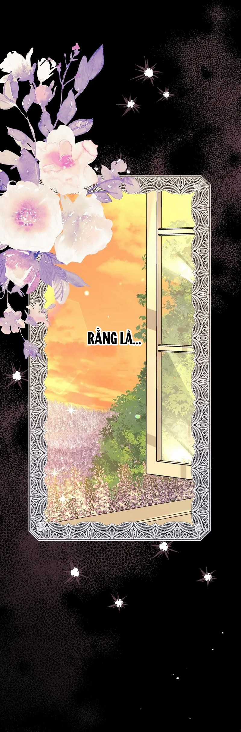 Cây Cúc Tây Thân Yêu Của Tôi Chapter 66 trang 11