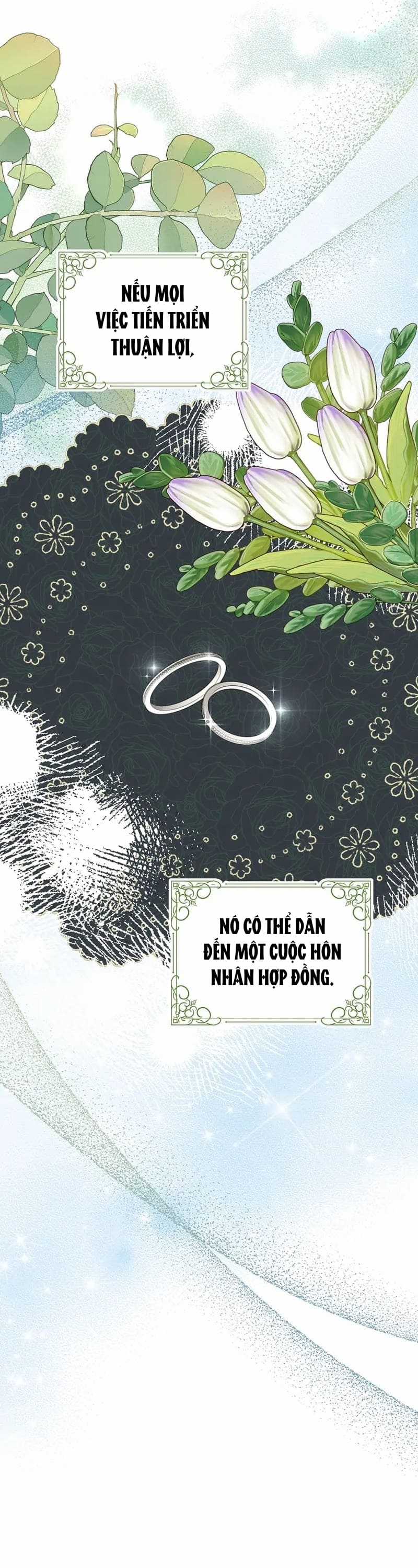 Cây Cúc Tây Thân Yêu Của Tôi Chapter 69 trang 12