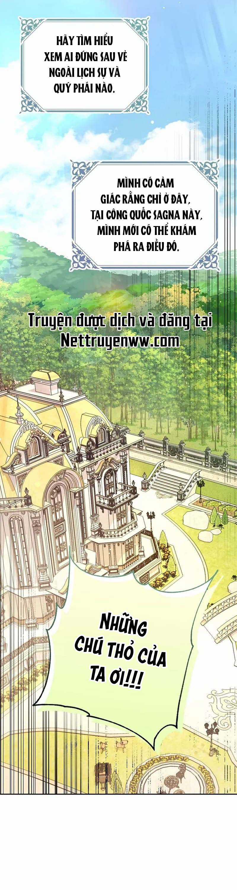 Cây Cúc Tây Thân Yêu Của Tôi Chapter 70 trang 42