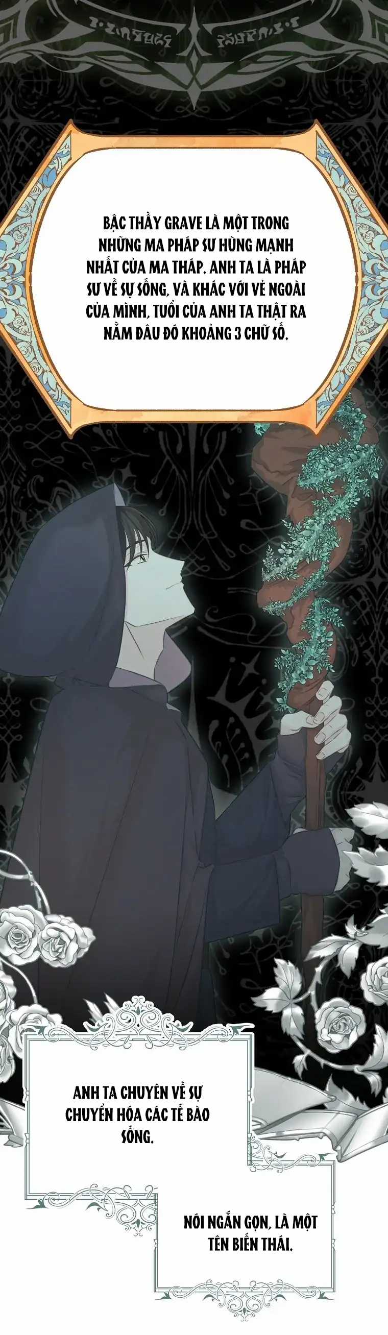 Cây Cúc Tây Thân Yêu Của Tôi Chapter 72 trang 9