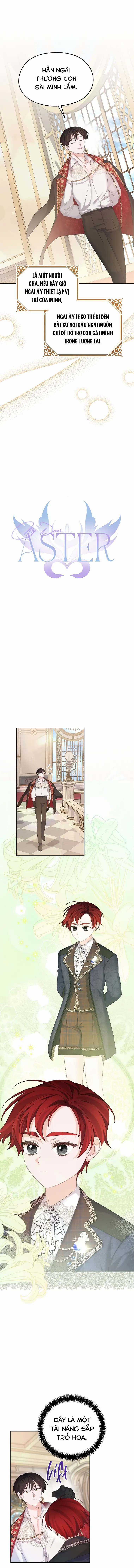 Cây Cúc Tây Thân Yêu Của Tôi Chapter 73 trang 6