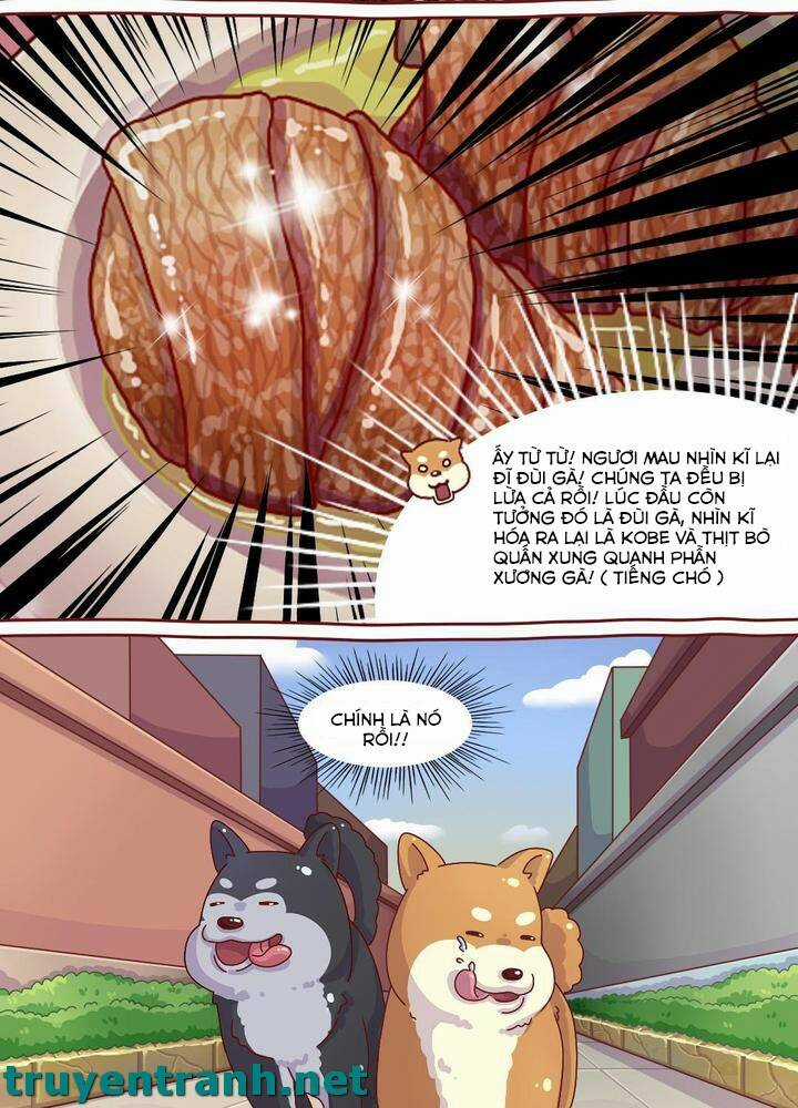 Cây Nấm Kì Khả Chapter 6 trang 11