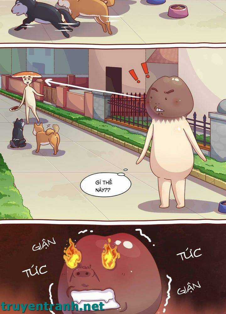 Cây Nấm Kì Khả Chapter 6 trang 3