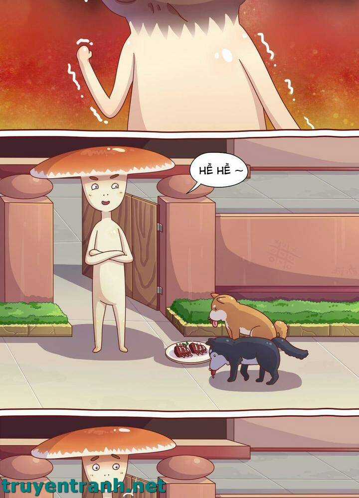 Cây Nấm Kì Khả Chapter 6 trang 4