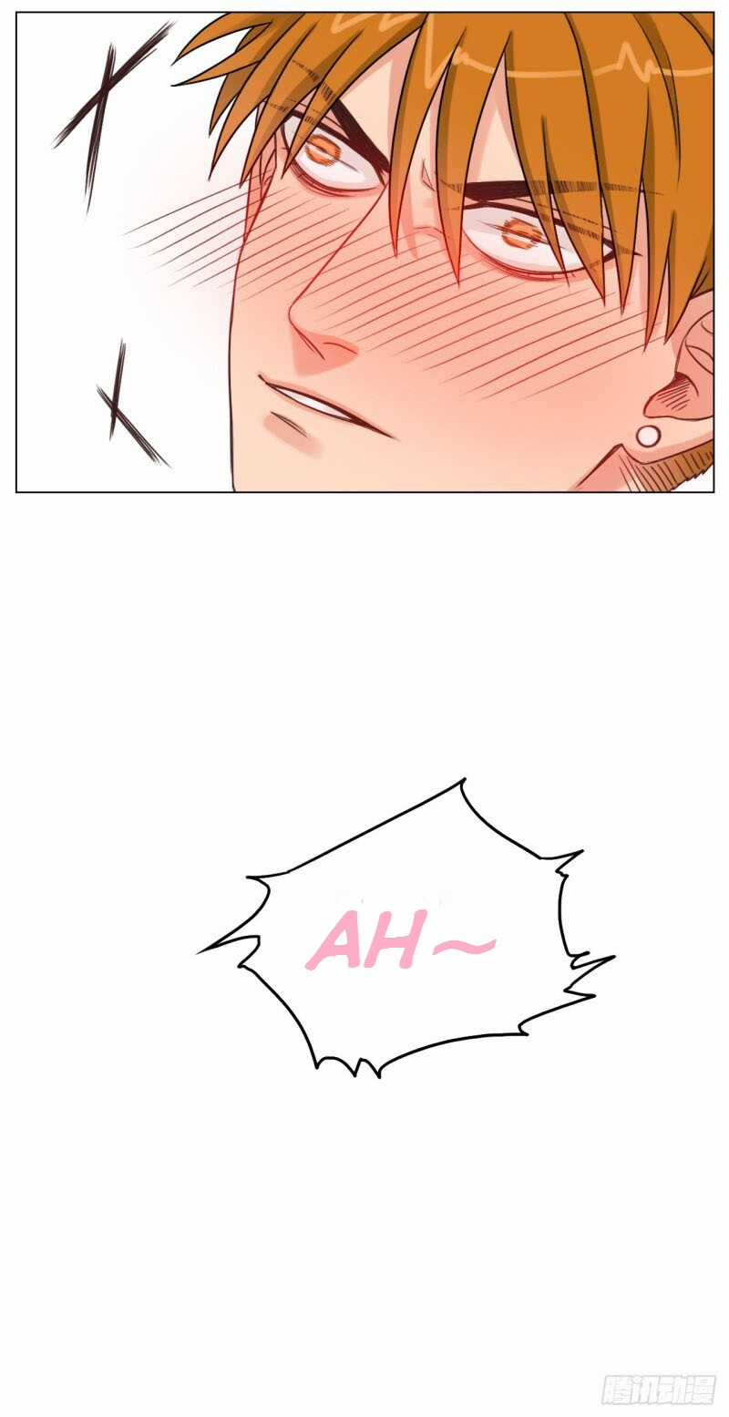 Cây Nhỏ Và Mùa Xuân Thân Yêu Chapter 1 trang 13