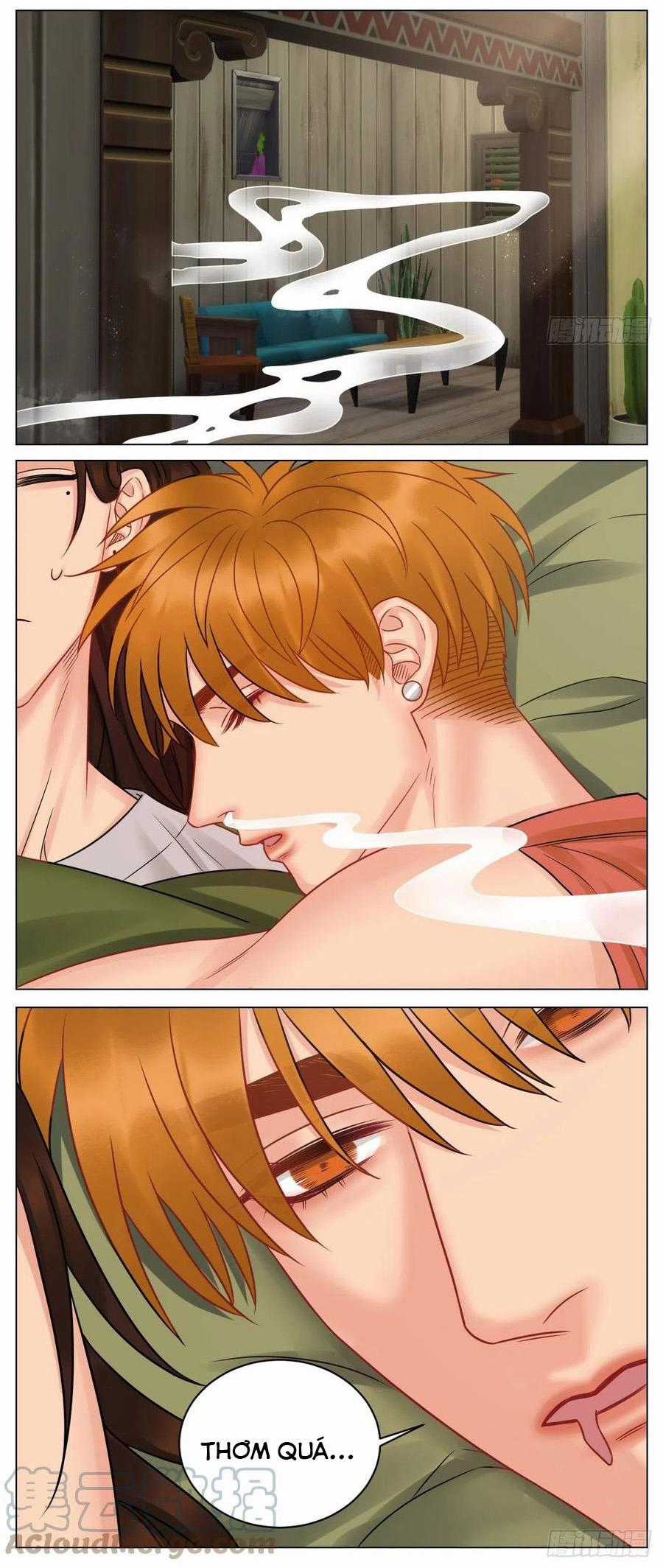 Cây Nhỏ Và Mùa Xuân Thân Yêu Chapter 176 trang 9