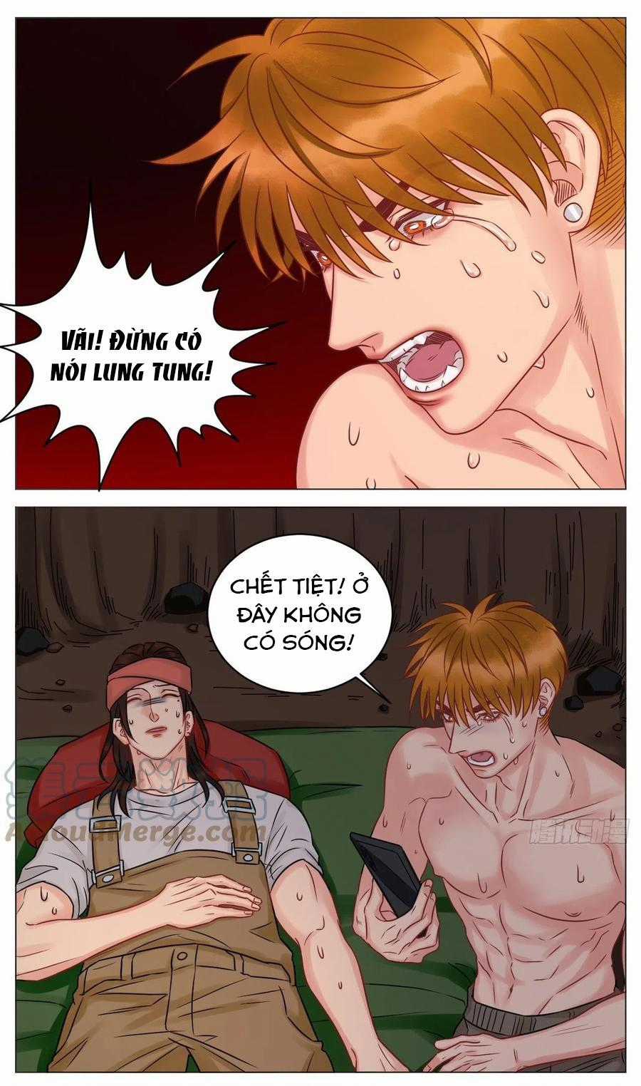 Cây Nhỏ Và Mùa Xuân Thân Yêu Chapter 178 trang 10