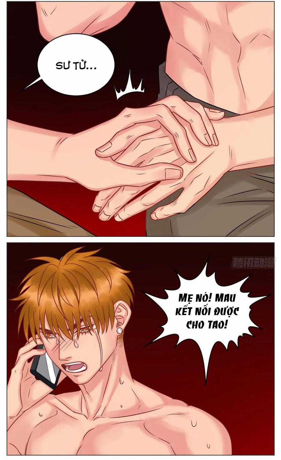 Cây Nhỏ Và Mùa Xuân Thân Yêu Chapter 178 trang 11