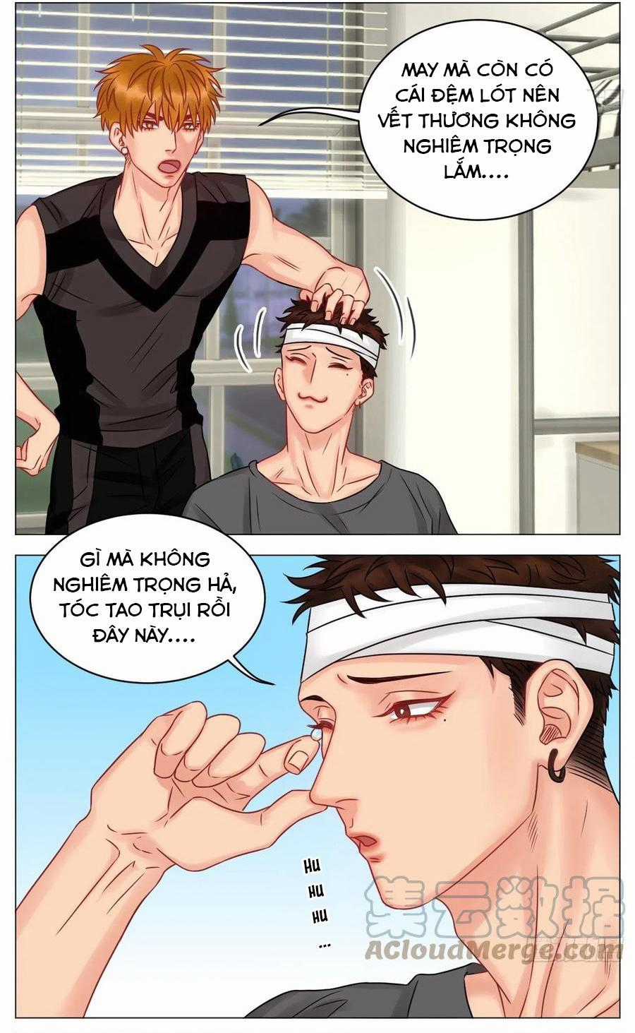 Cây Nhỏ Và Mùa Xuân Thân Yêu Chapter 178 trang 16