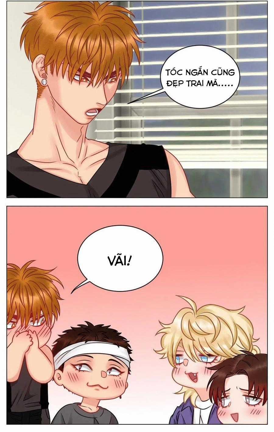 Cây Nhỏ Và Mùa Xuân Thân Yêu Chapter 178 trang 17