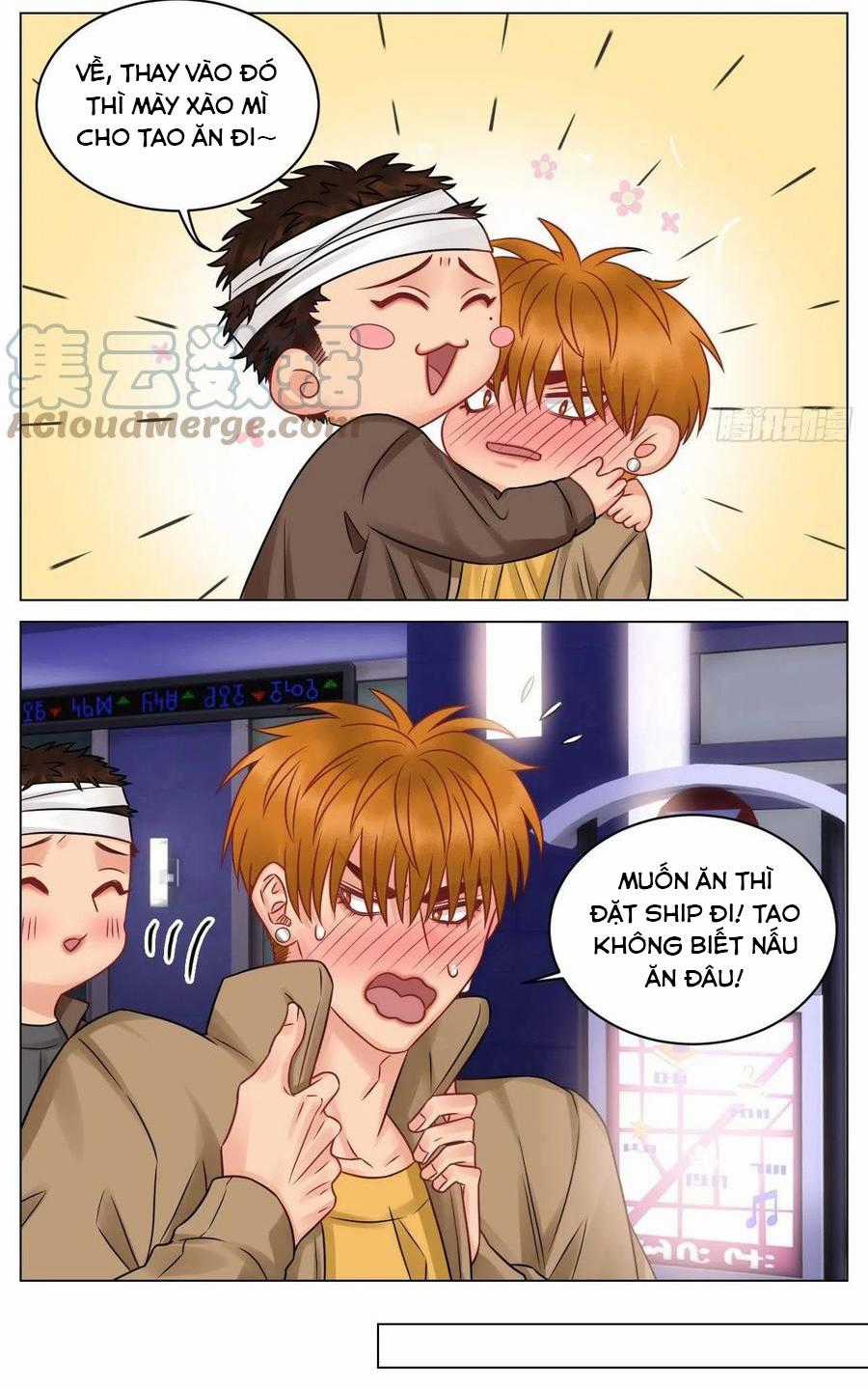 Cây Nhỏ Và Mùa Xuân Thân Yêu Chapter 179 trang 3