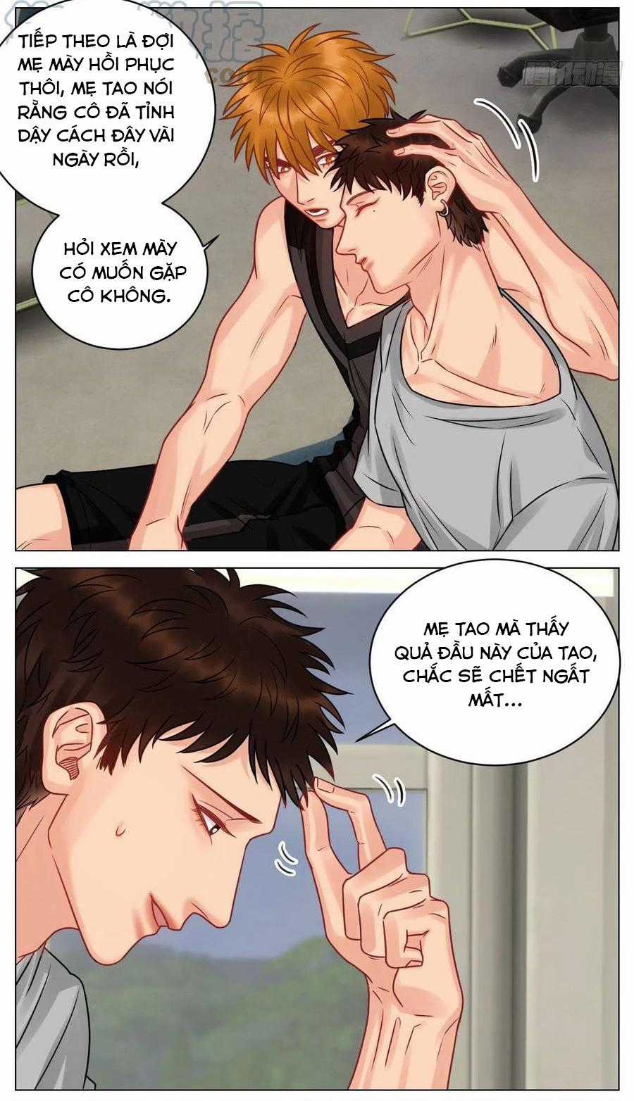 Cây Nhỏ Và Mùa Xuân Thân Yêu Chapter 182 trang 3