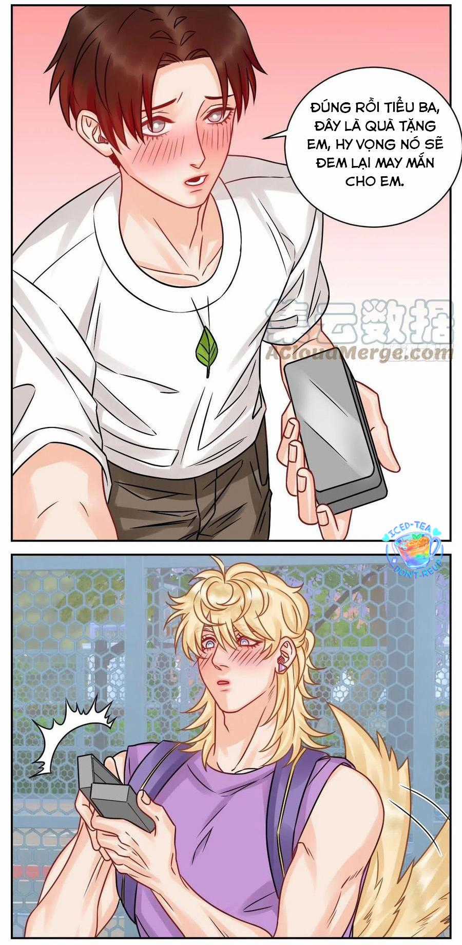 Cây Nhỏ Và Mùa Xuân Thân Yêu Chapter 184 trang 2