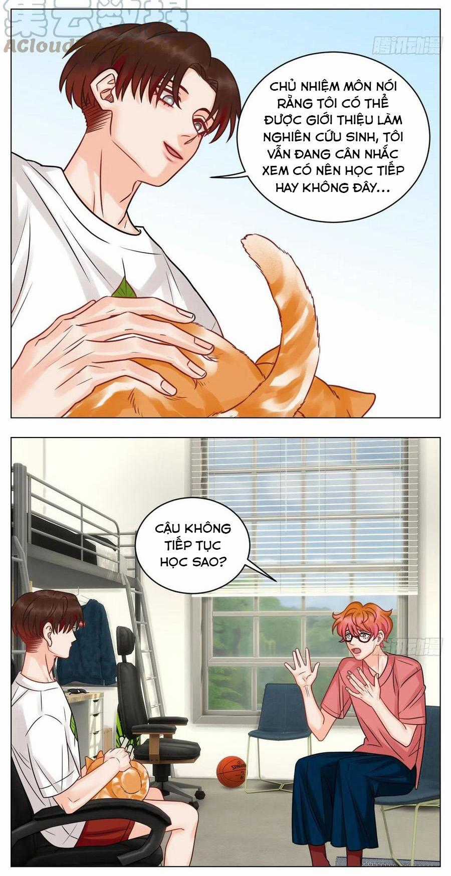 Cây Nhỏ Và Mùa Xuân Thân Yêu Chapter 187 trang 13