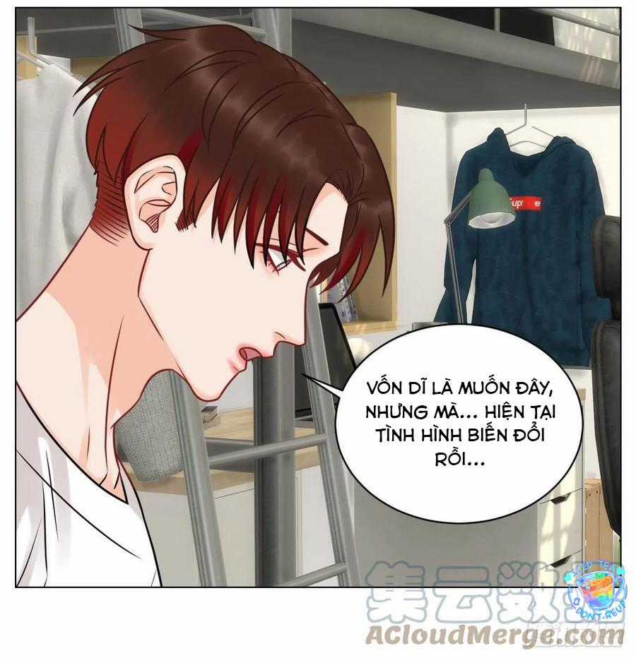 Cây Nhỏ Và Mùa Xuân Thân Yêu Chapter 187 trang 14