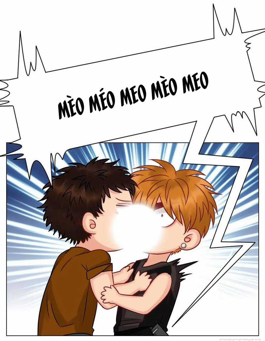 Cây Nhỏ Và Mùa Xuân Thân Yêu Chapter 187 trang 5