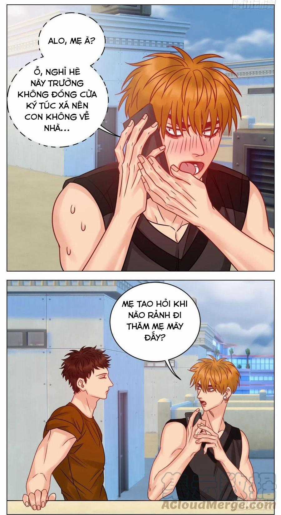 Cây Nhỏ Và Mùa Xuân Thân Yêu Chapter 187 trang 6