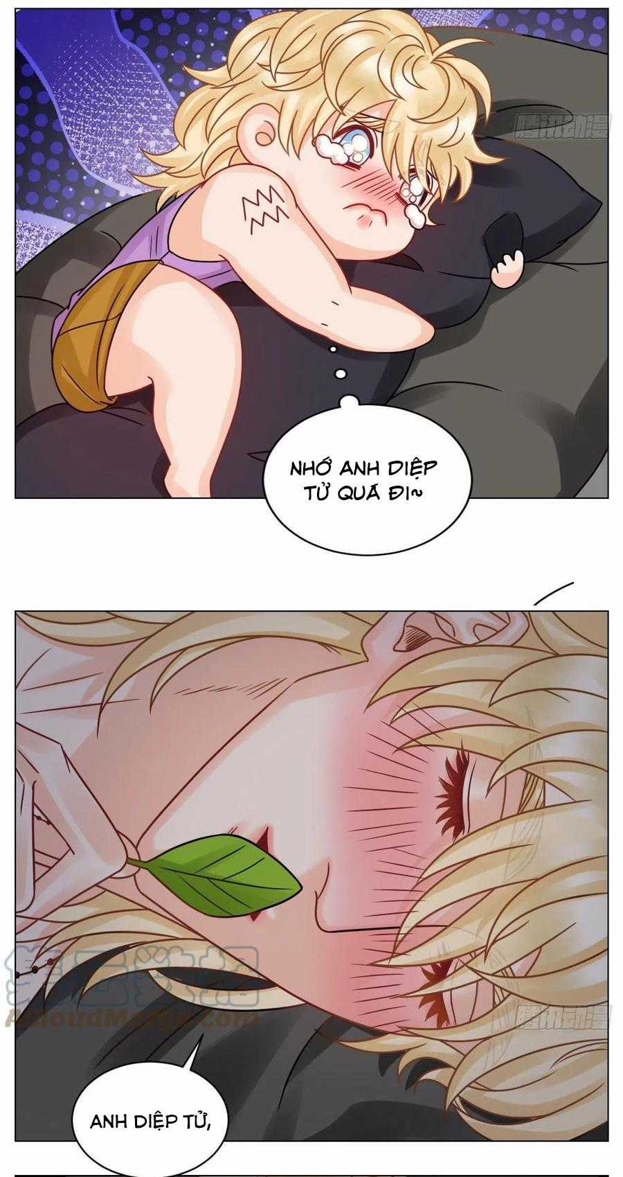 Cây Nhỏ Và Mùa Xuân Thân Yêu Chapter 188 trang 11