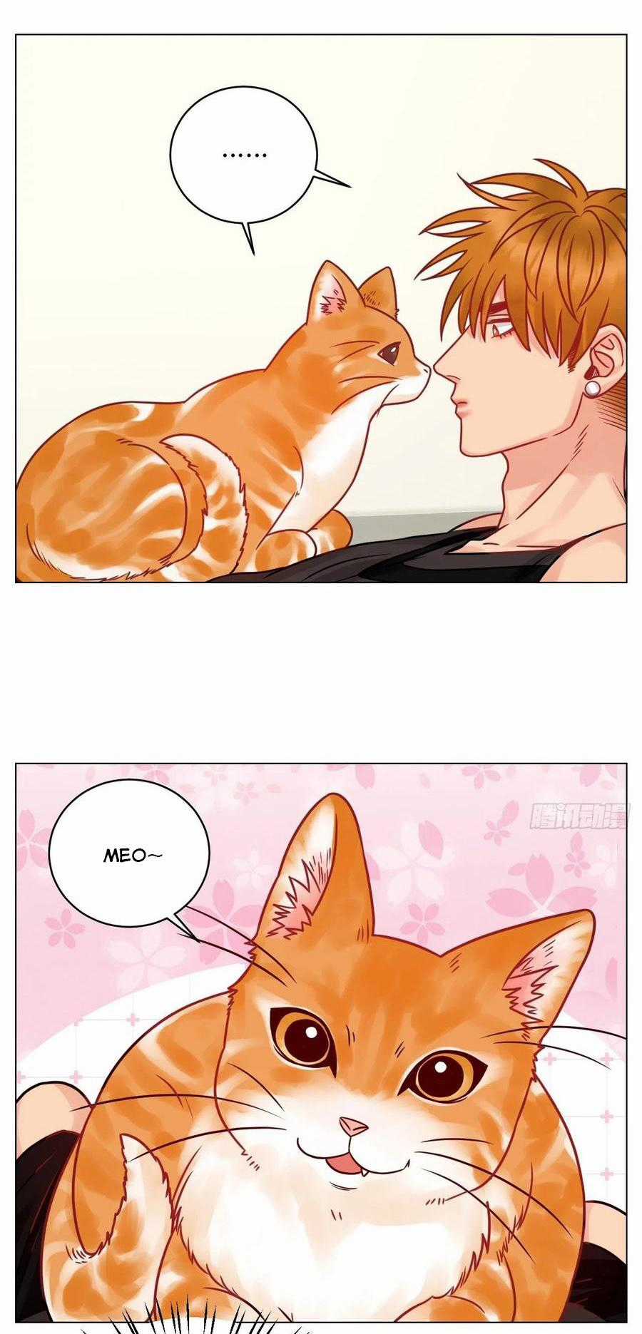 Cây Nhỏ Và Mùa Xuân Thân Yêu Chapter 189 trang 13