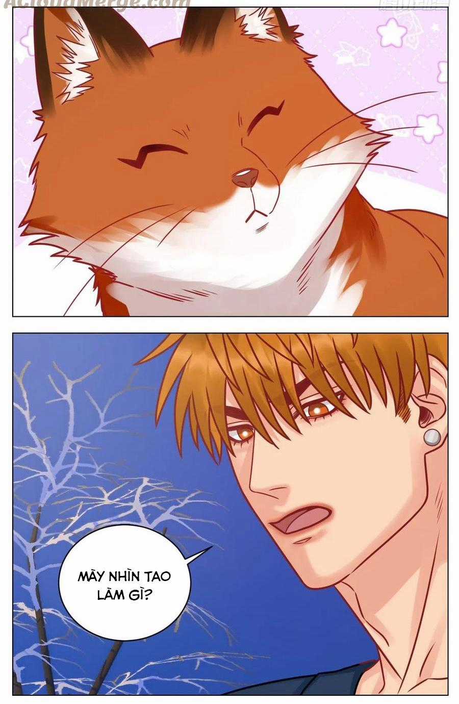 Cây Nhỏ Và Mùa Xuân Thân Yêu Chapter 189 trang 3