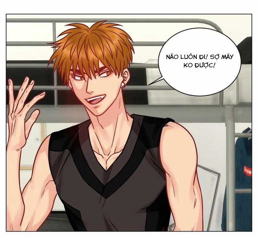 Cây Nhỏ Và Mùa Xuân Thân Yêu Chapter 191 trang 10