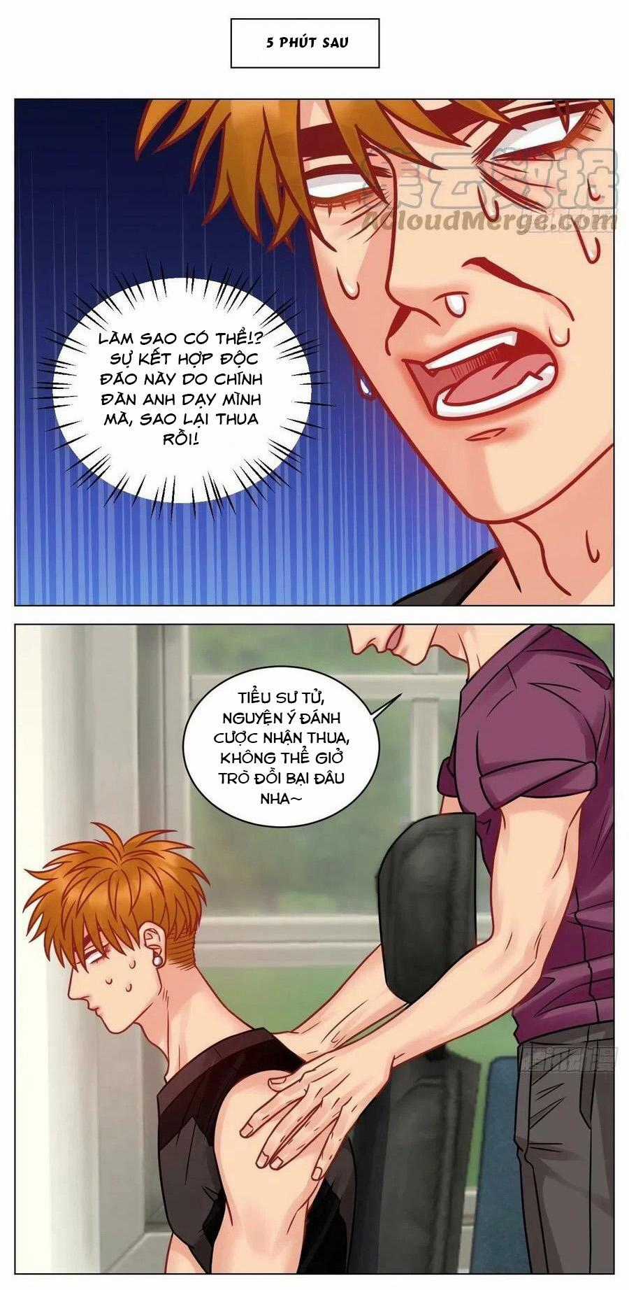 Cây Nhỏ Và Mùa Xuân Thân Yêu Chapter 191 trang 11