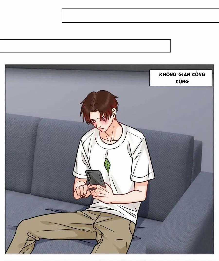 Cây Nhỏ Và Mùa Xuân Thân Yêu Chapter 191 trang 14