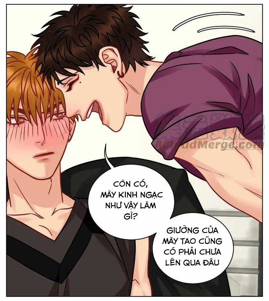 Cây Nhỏ Và Mùa Xuân Thân Yêu Chapter 191 trang 2