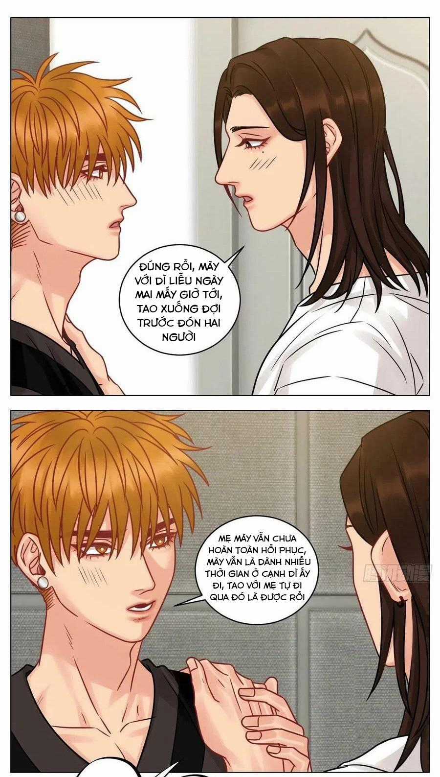 Cây Nhỏ Và Mùa Xuân Thân Yêu Chapter 193 trang 10