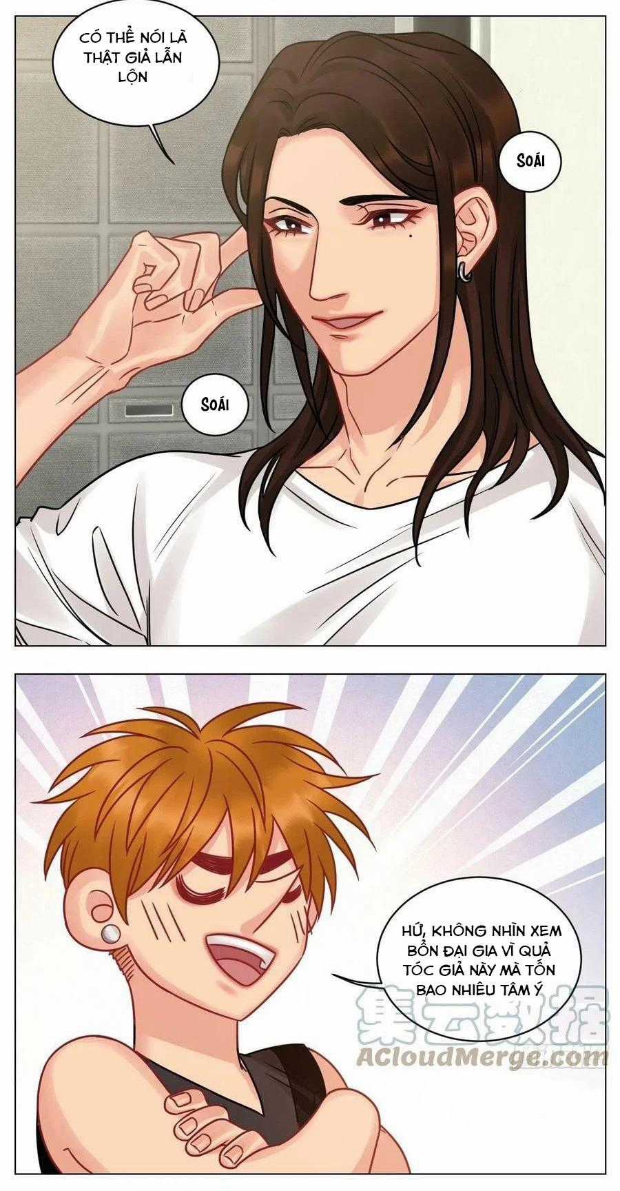 Cây Nhỏ Và Mùa Xuân Thân Yêu Chapter 193 trang 4