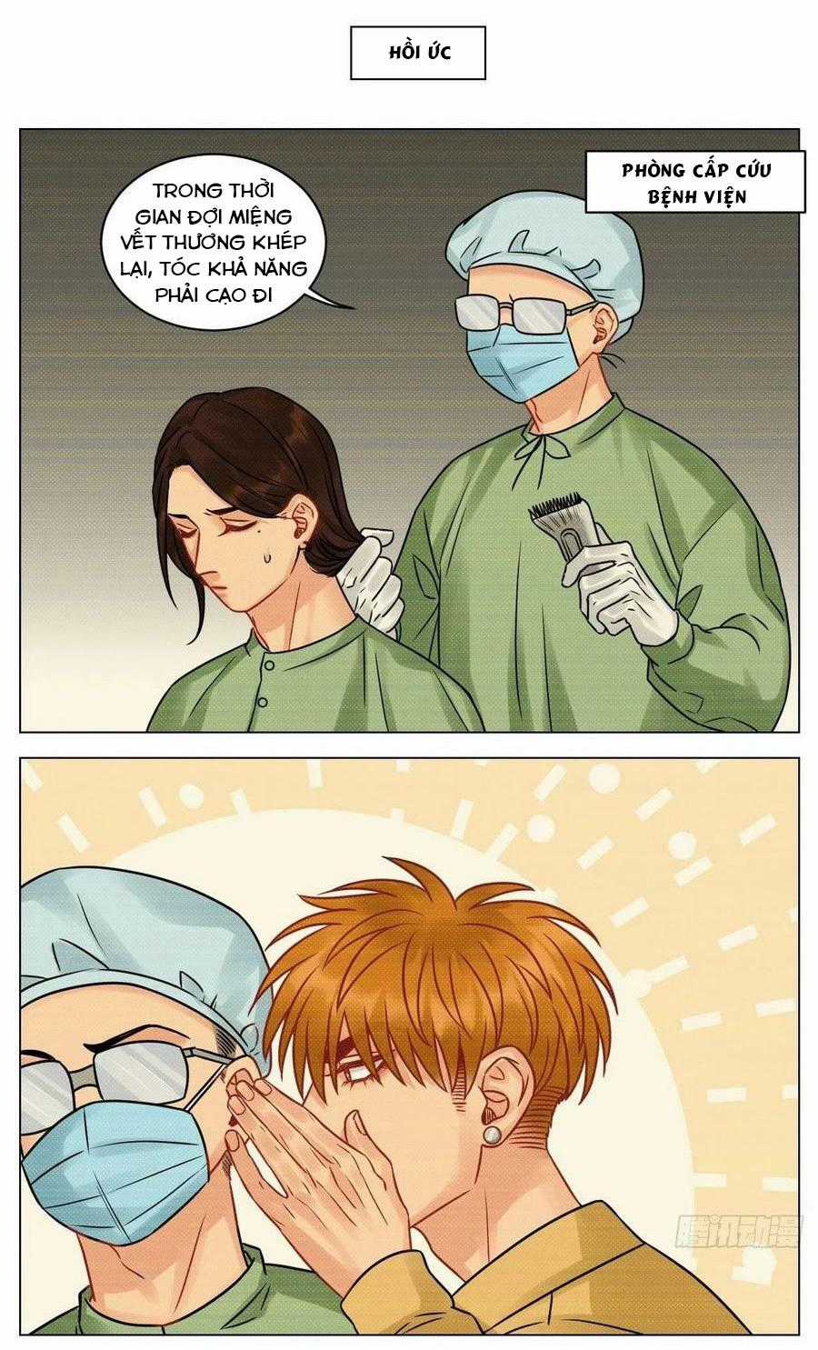 Cây Nhỏ Và Mùa Xuân Thân Yêu Chapter 193 trang 5